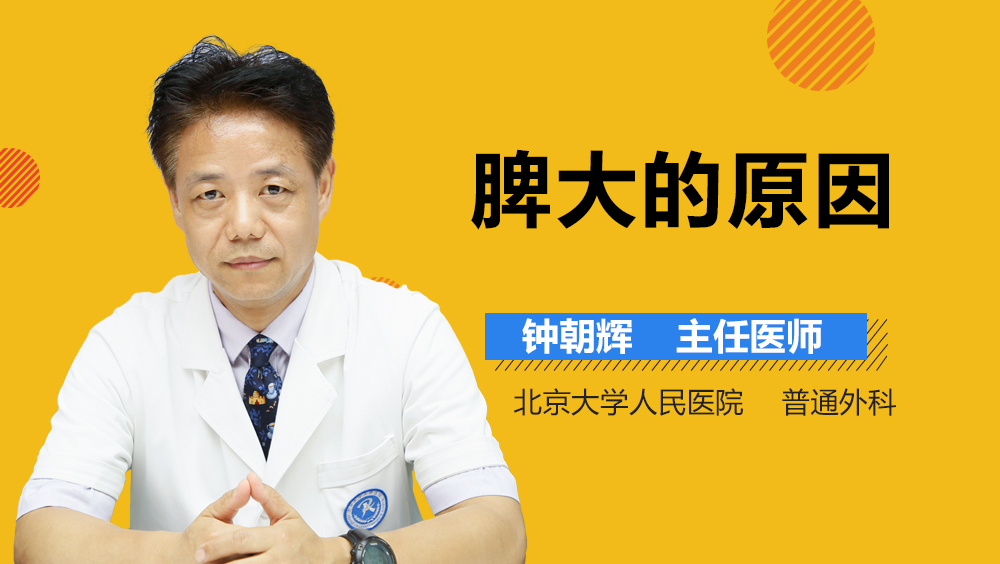 脾大的原因