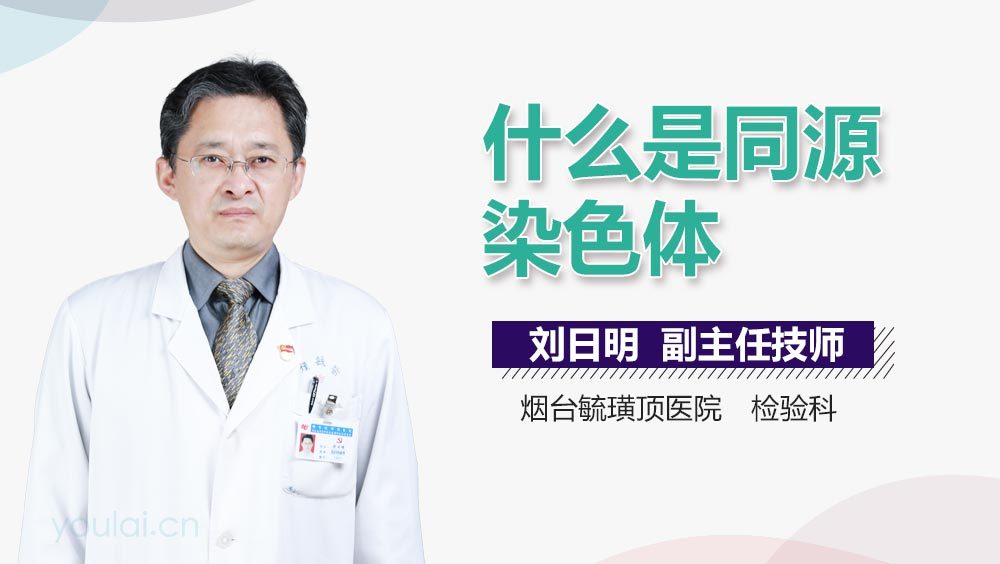 什么是同源染色体