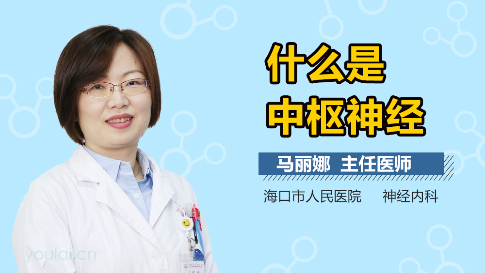 什么是中枢神经