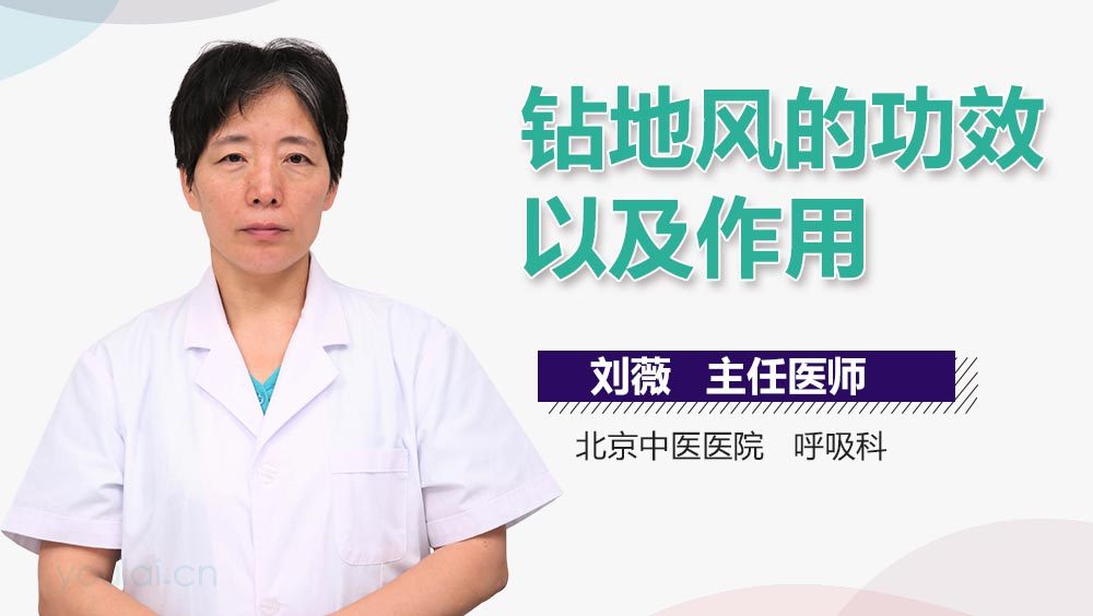 钻地风的功效以及作用