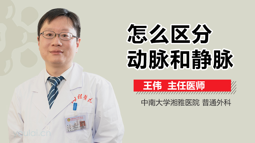 怎么区分动脉和静脉
