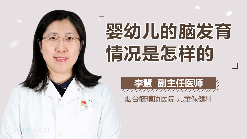 婴幼儿的脑发育情况是怎样的