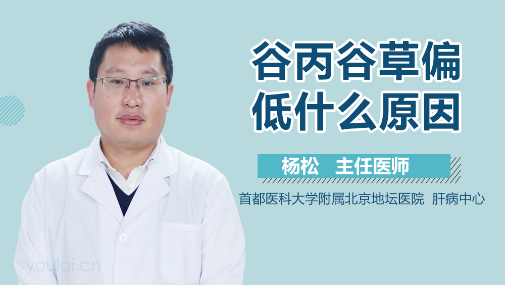 谷丙谷草偏低什么原因