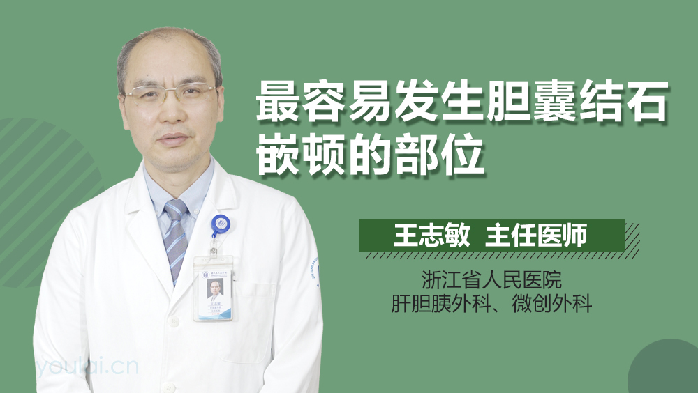 最容易发生胆囊结石嵌顿的部位