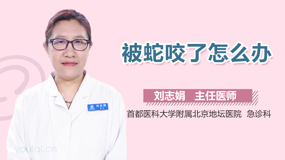 被蛇咬了怎么办