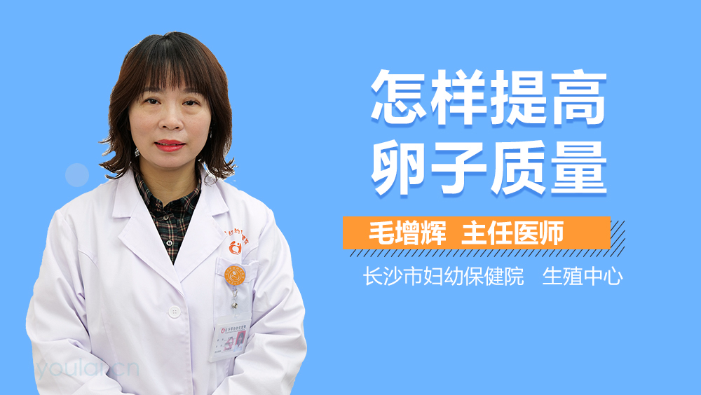 怎样提高卵子质量