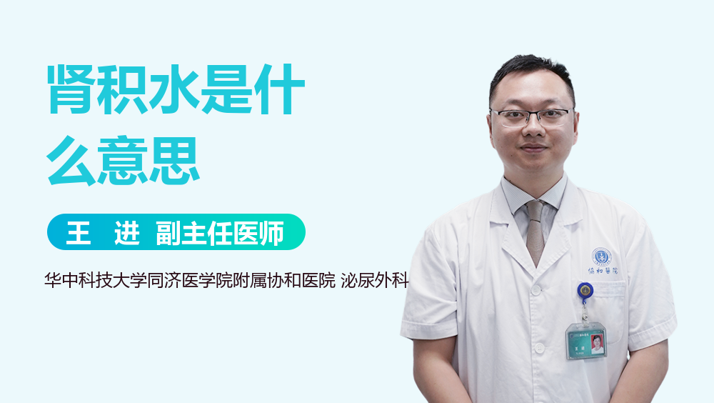肾积水是什么意思