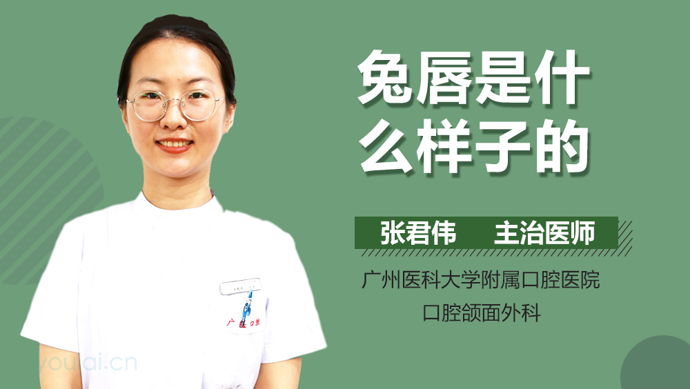 兔唇是什么样子的