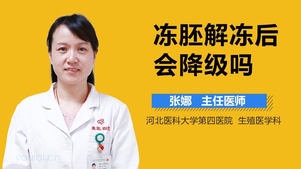 冻胚解冻后会降级吗