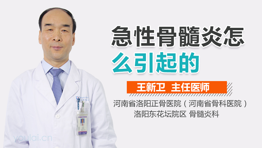 急性骨髓炎怎么引起的