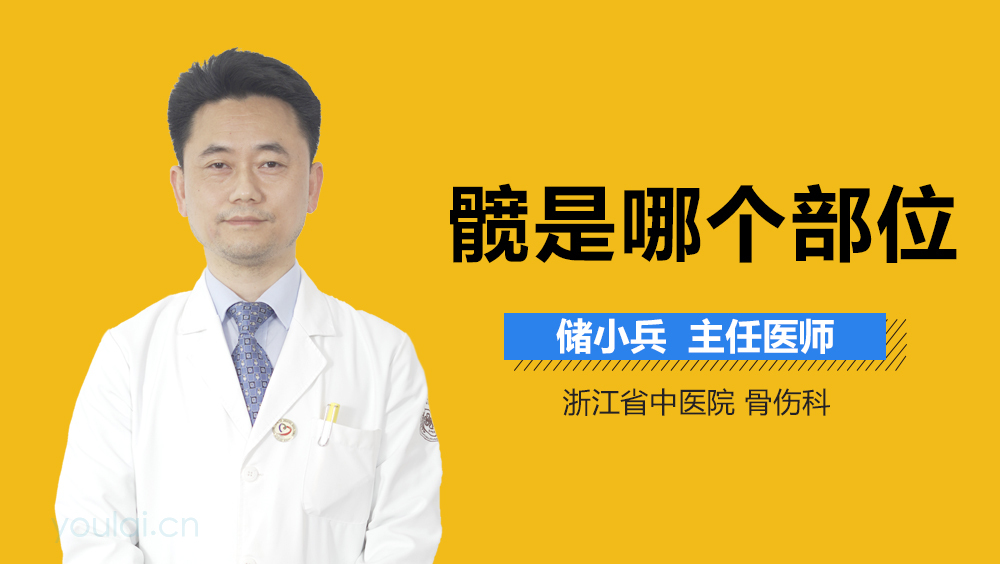 髋是哪个部位