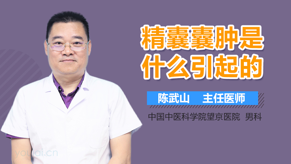 精囊囊肿是什么引起的