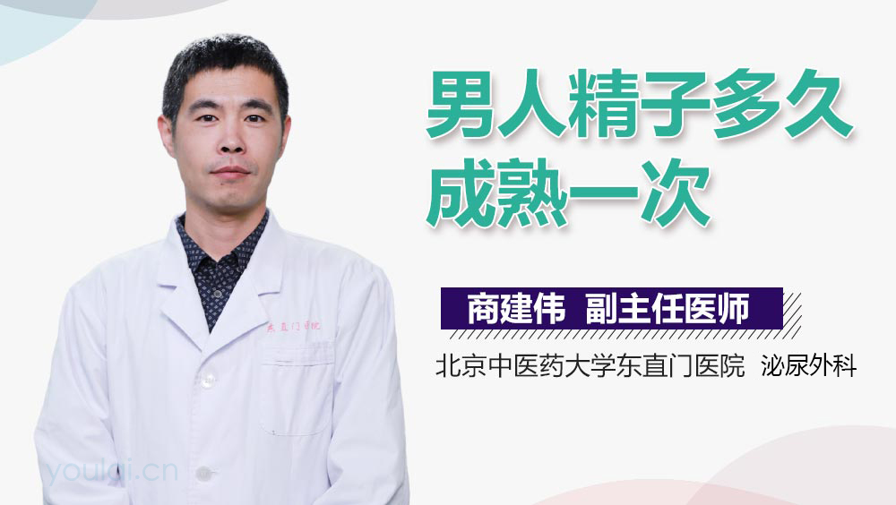 男人精子多久成熟一次