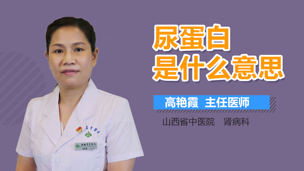 尿蛋白是什么意思