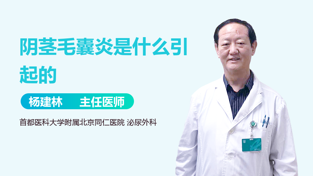 阴茎毛囊炎是什么引起的