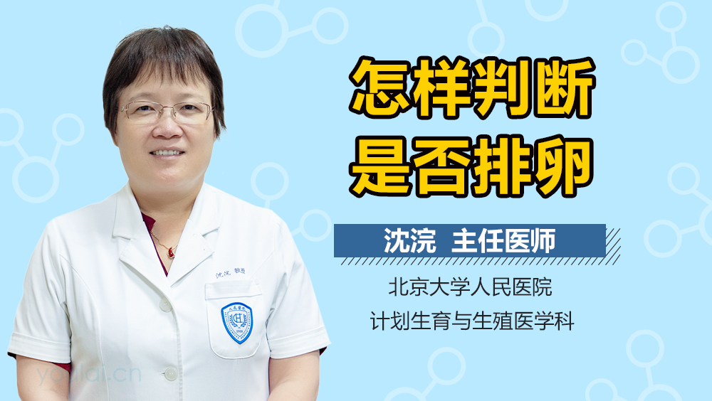 怎样判断是否排卵