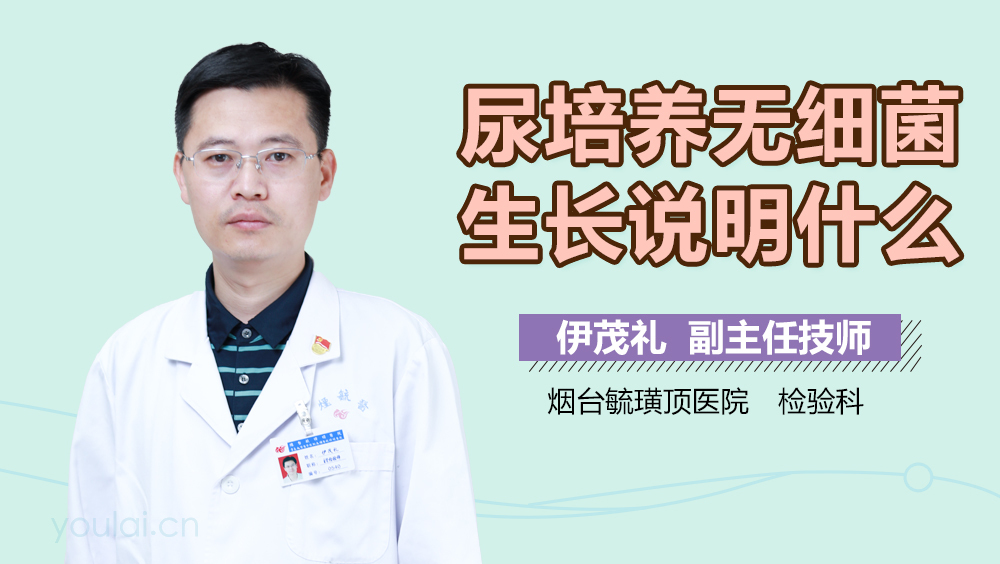 尿培养无细菌生长说明什么