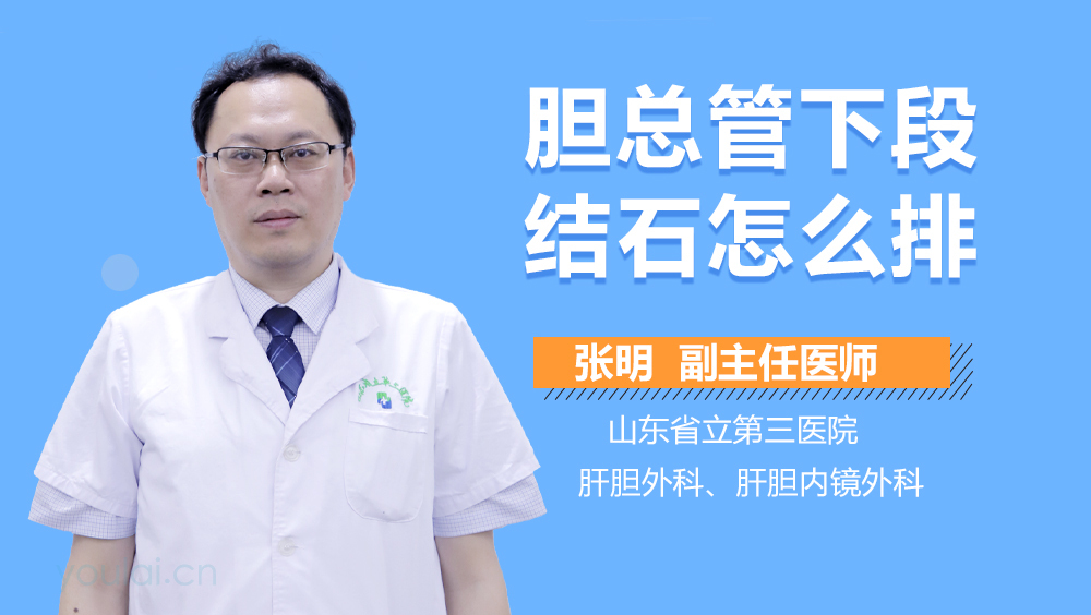 胆总管下段结石怎么排