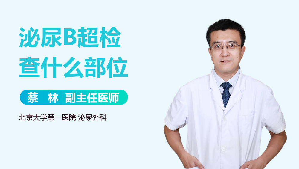 泌尿B超检查什么部位