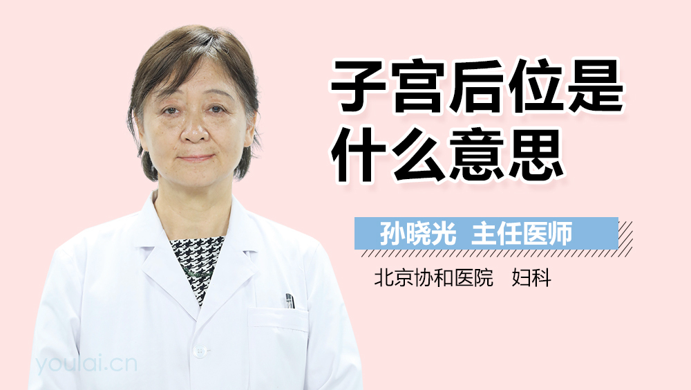 子宫后位是什么意思