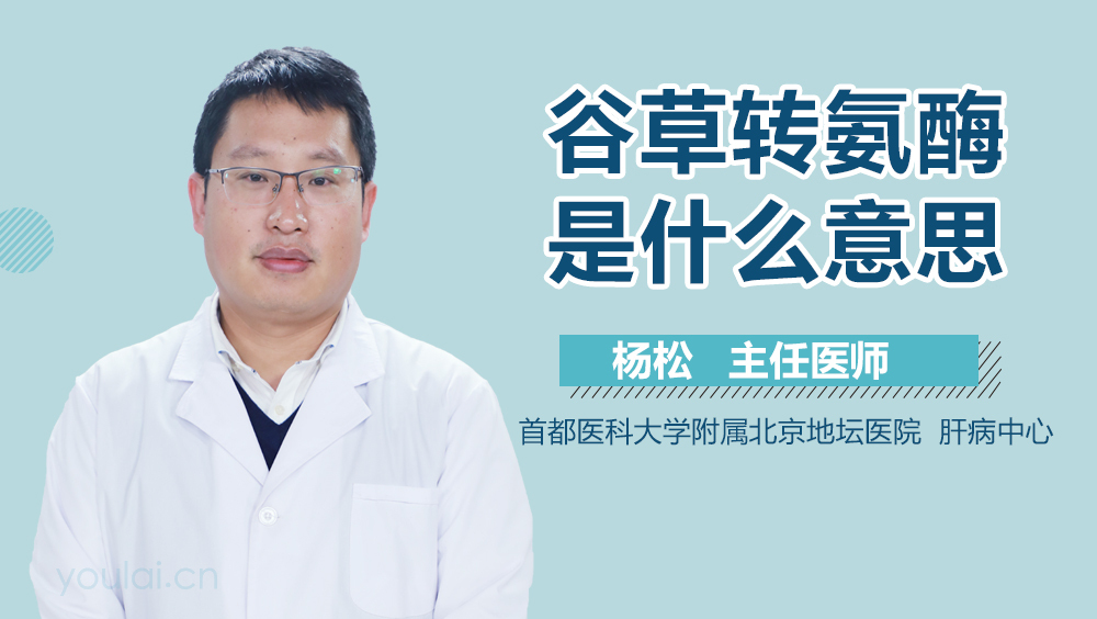 谷草转氨酶是什么意思