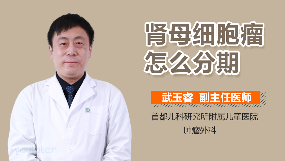 肾母细胞瘤怎么分期