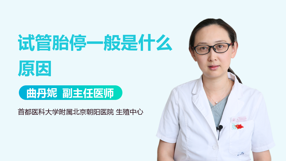 试管胎停一般是什么原因