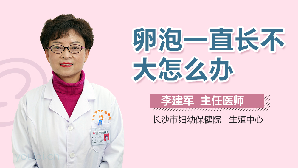 卵泡一直长不大怎么办