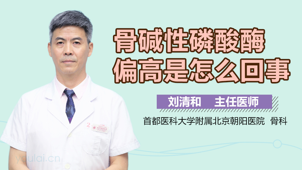 骨碱性磷酸酶偏高是怎么回事