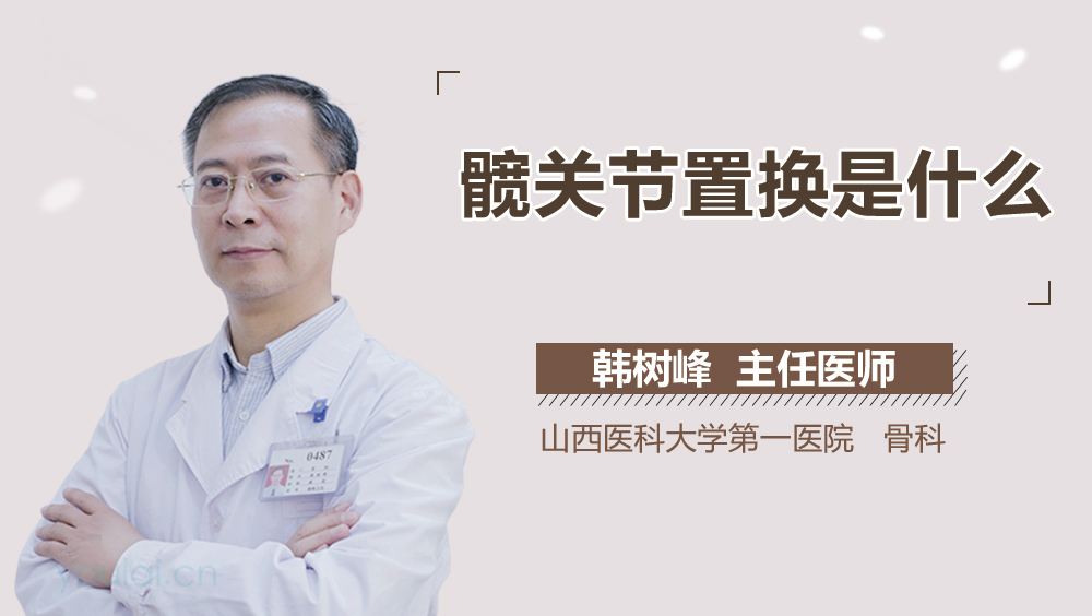 髋关节置换是什么