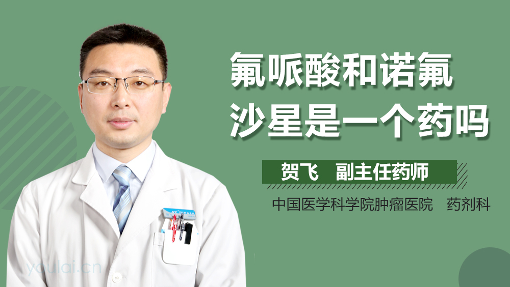 氟哌酸和诺氟沙星是一个药吗