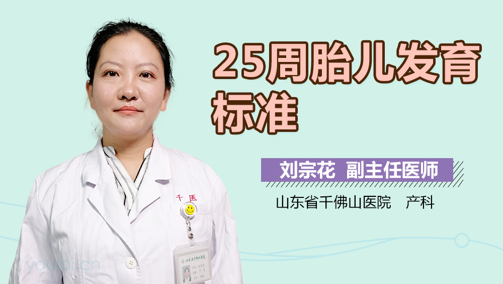 25周胎儿发育标准