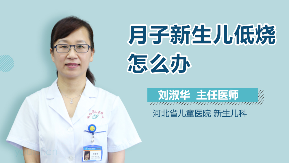 月子新生儿低烧怎么办