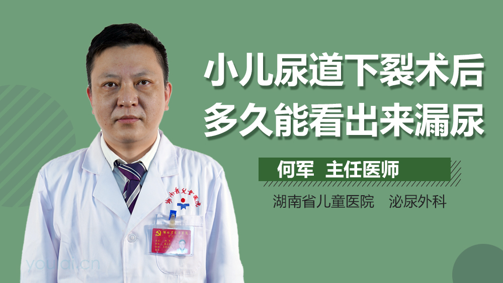 小儿尿道下裂术后多久能看出来漏尿
