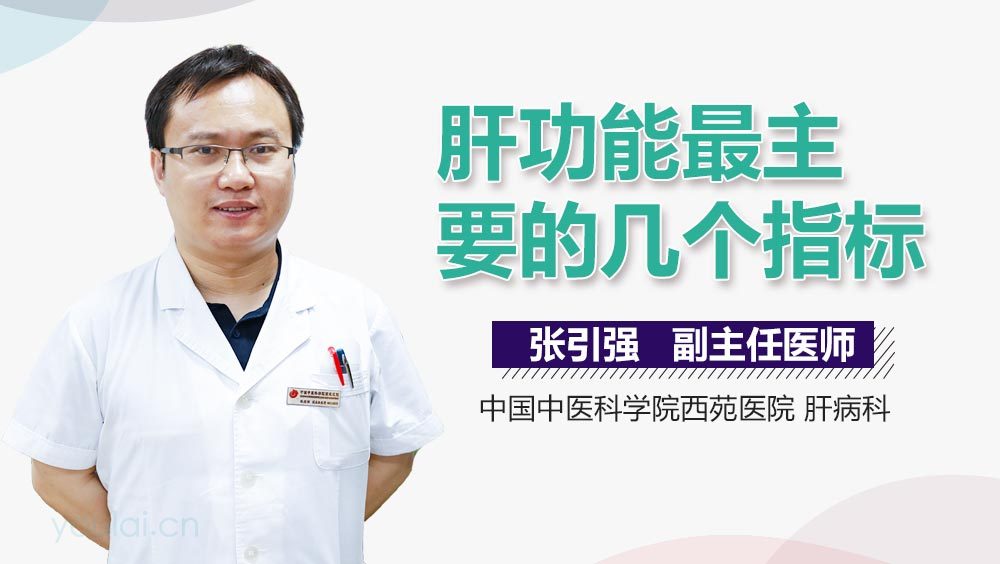 肝功能最主要的几个指标