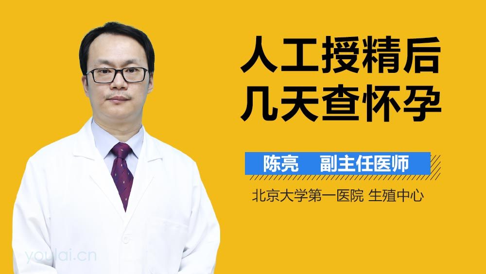 人工授精后几天查怀孕