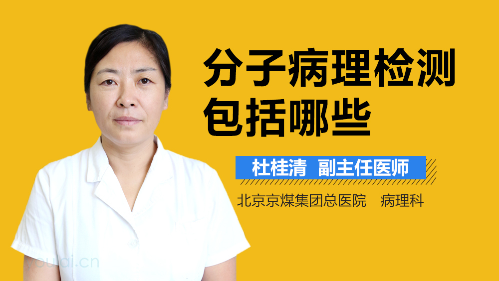 分子病理检测包括哪些