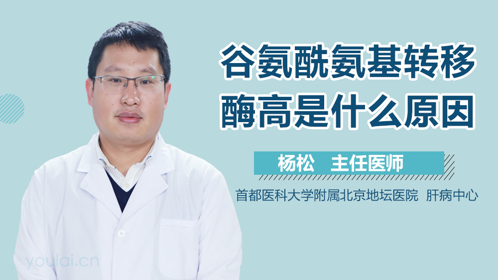 谷氨酰氨基转移酶高是什么原因