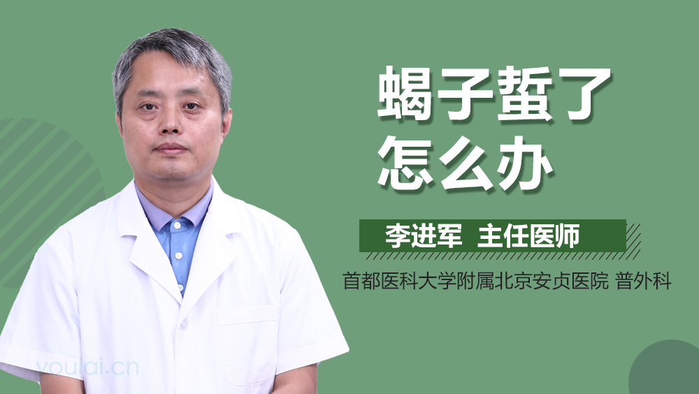 蝎子蜇了怎么办