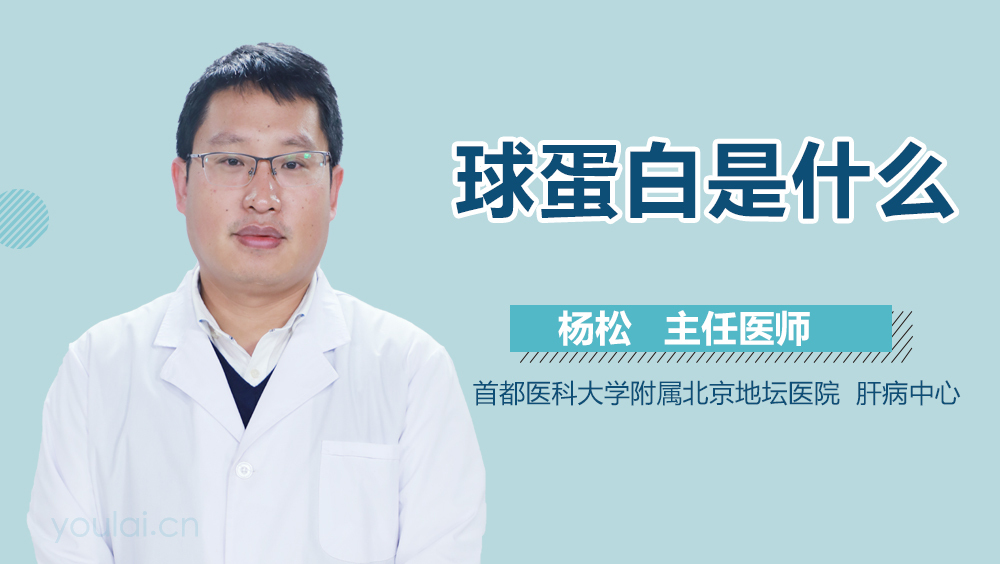 球蛋白是什么