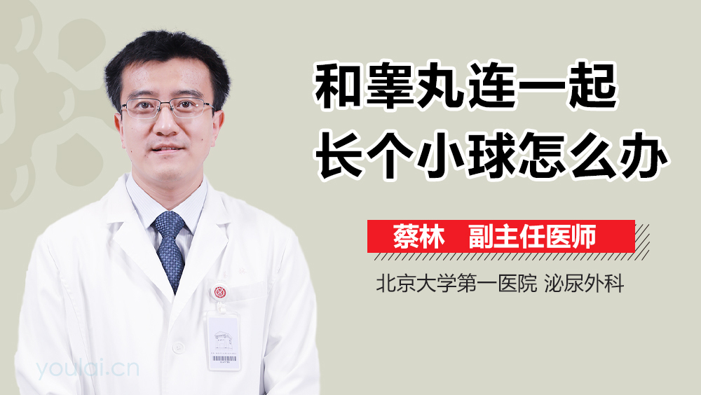 和睾丸连一起长个小球怎么办