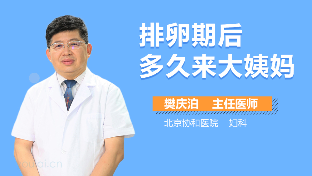 排卵期后多久来大姨妈