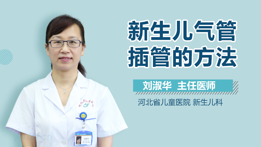 新生儿气管插管的方法