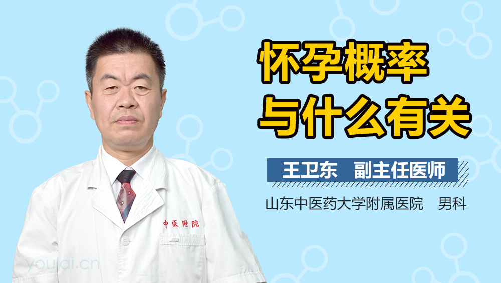 怀孕概率与什么有关