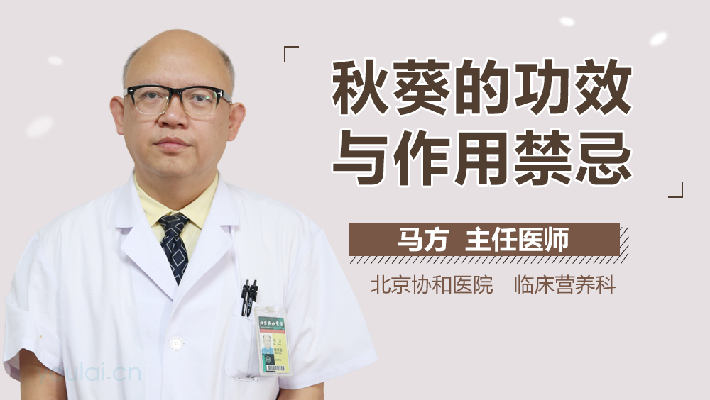 秋葵的功效与作用禁忌
