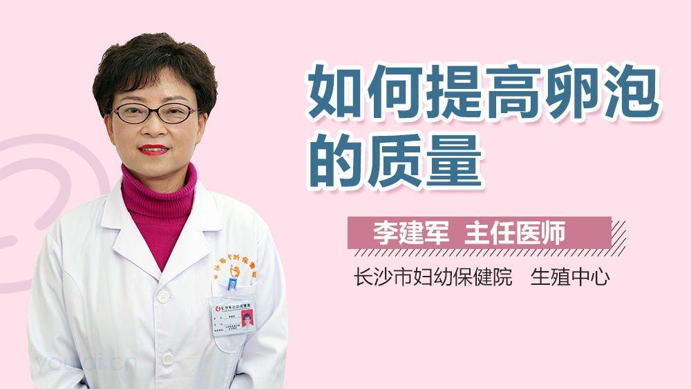 如何提高卵泡的质量