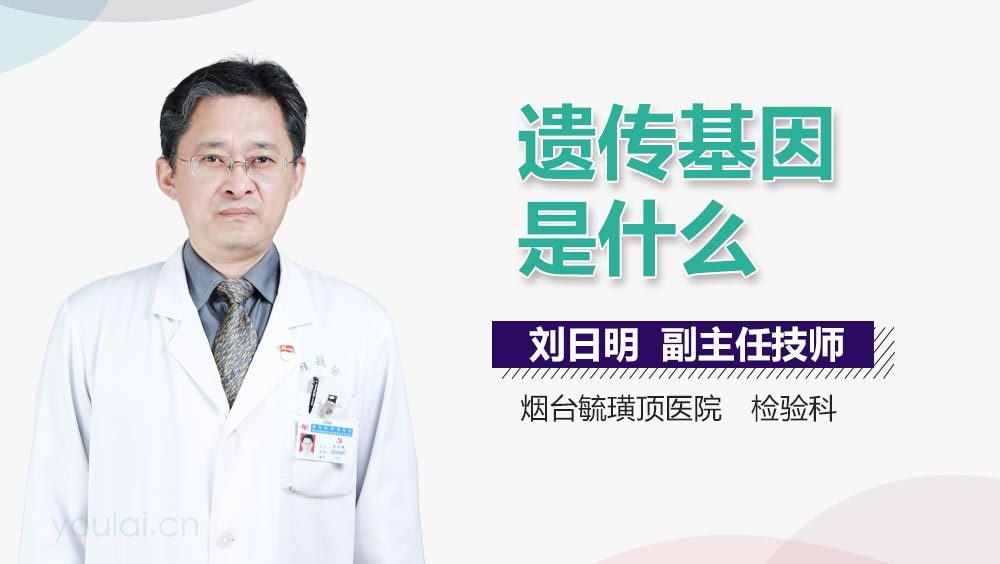 遗传基因是什么