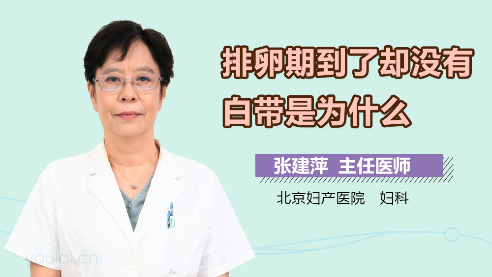 排卵期到了却没有白带是为什么