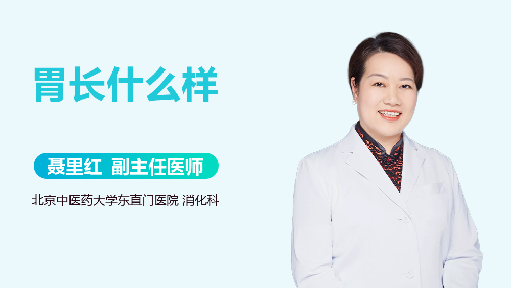 胃长什么样