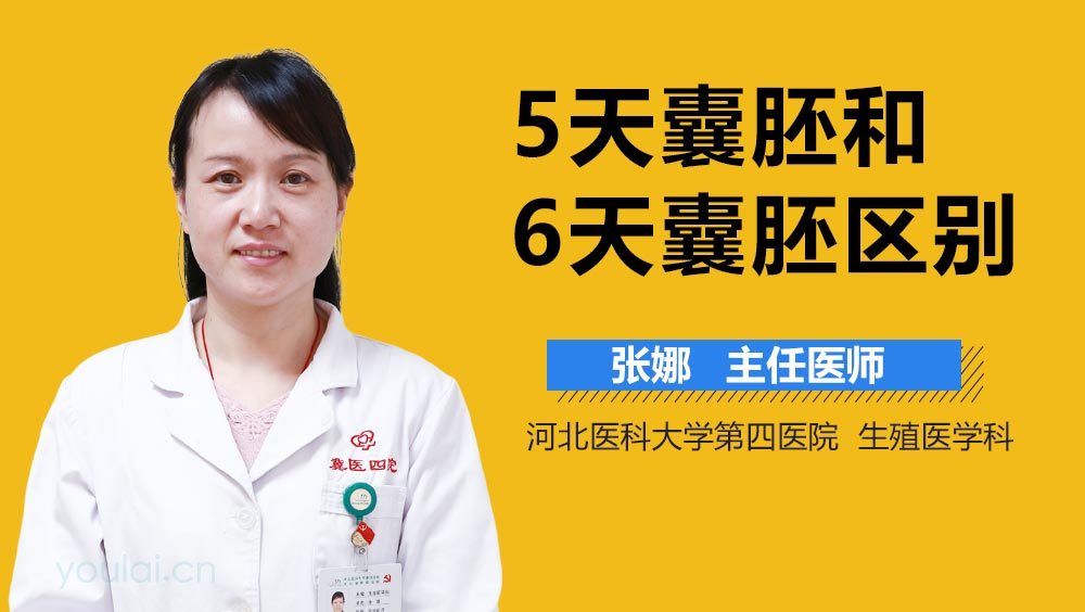 5天囊胚和6天囊胚区别